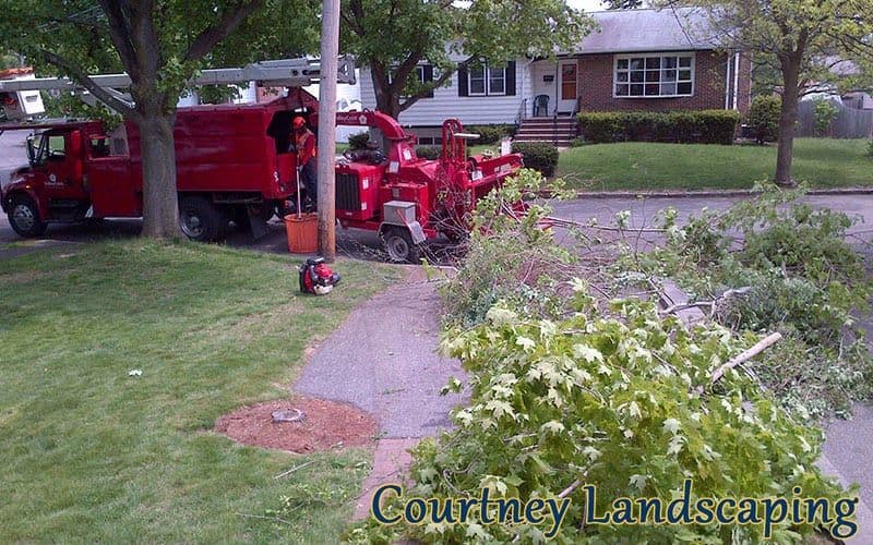 Landscape Maintenance